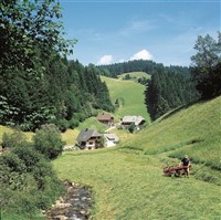 Fairytale in the Black Forest 