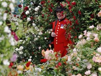 RHS Chelsea Flower Show