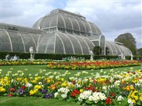 Royal Botanic Gardens - Kew