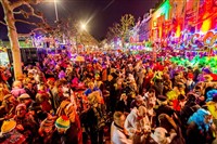 Valkenburg & Maastricht Carnival Drinks Inclusive