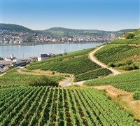 Rudesheim & Majestic Rhine Valley