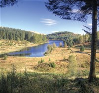 Trossachs Inclusive House Party & Snowdrops
