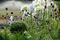 Tatton Park Flower Show and Trentham Gardens