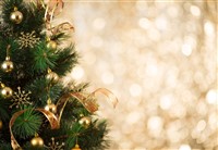 Paignton Turkey & Tinsel at Queens Hotel 2023