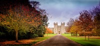 Windsor Castle at Christmas