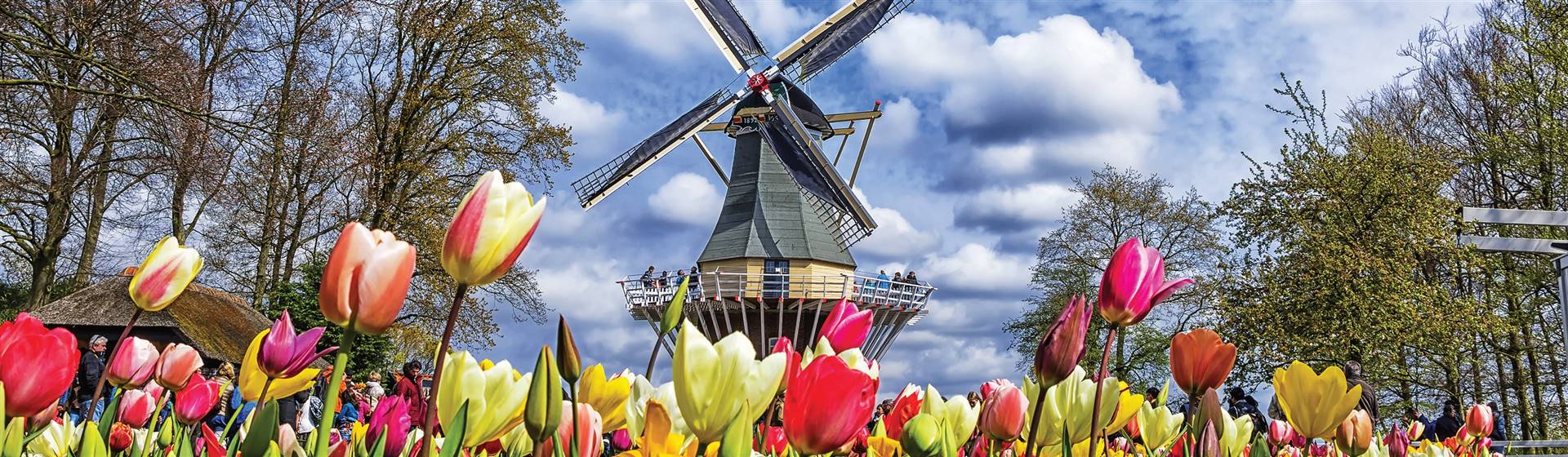 Highlights of Holland