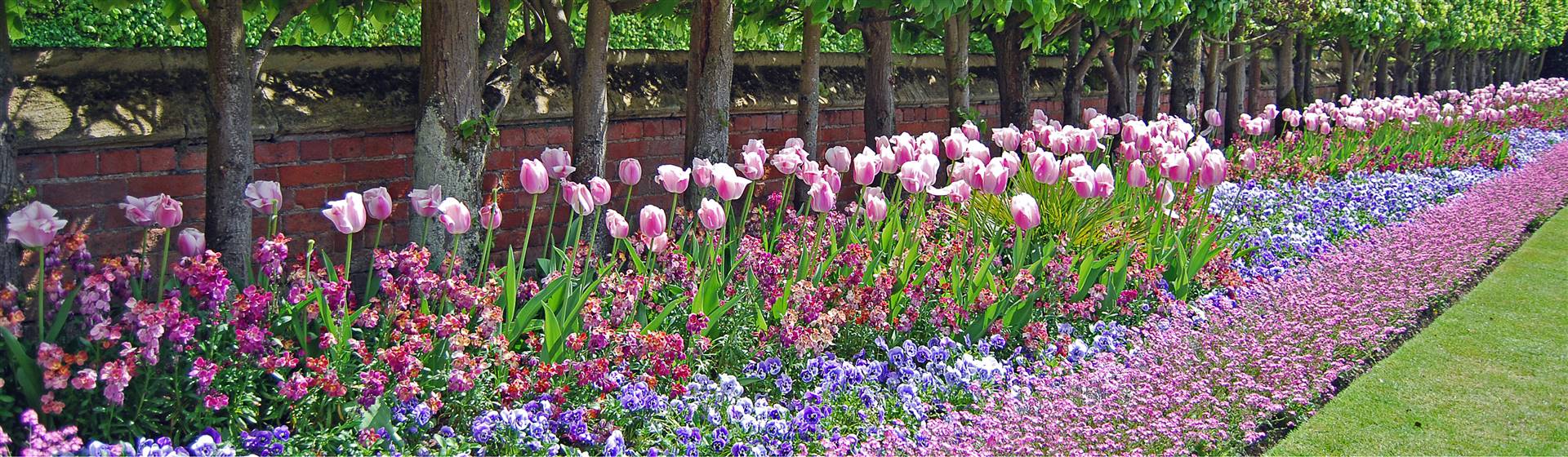 RHS Hampton Court Palace FS - Daytrip