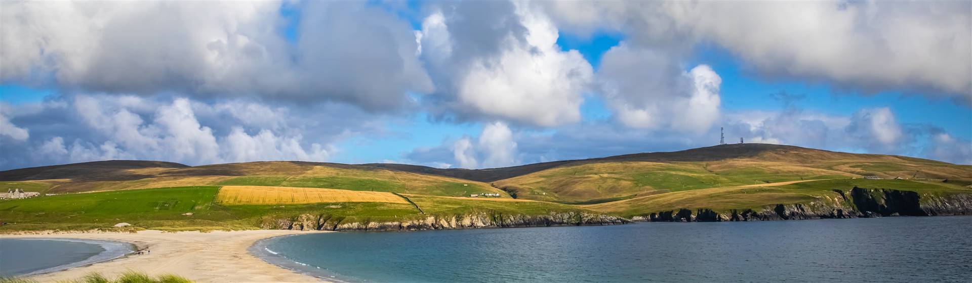 Shetland Discovery