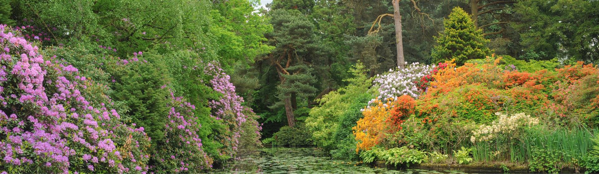 Tatton Park Flower Show and Trentham Gardens
