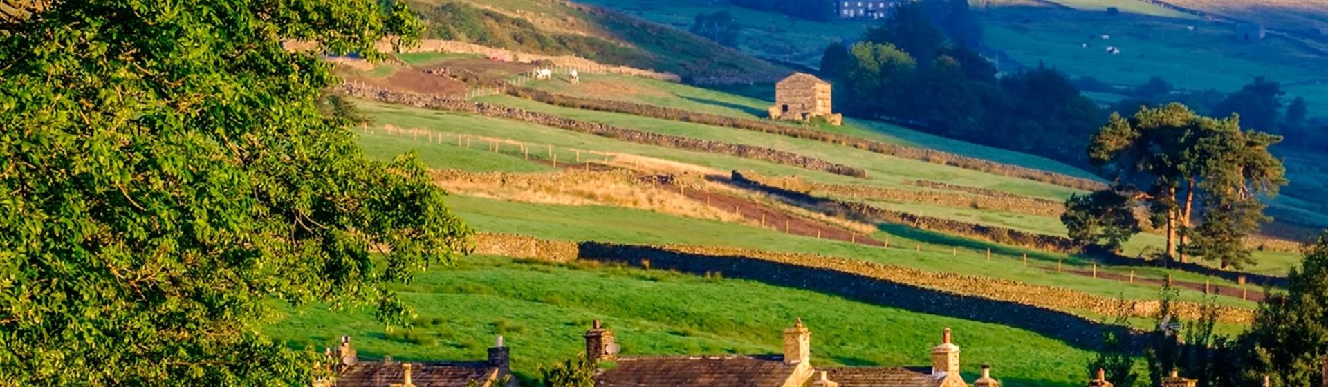 Skipton Cruise & Steam