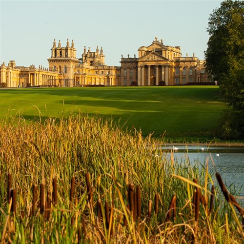 Blenheim Palace Flower Show