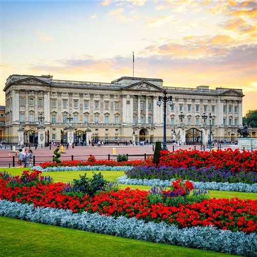 Buckingham Palace & Royal Mews Daytrip