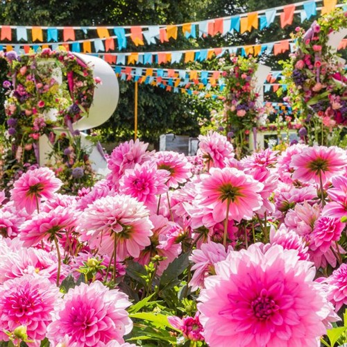 RHS Chelsea Flower Show