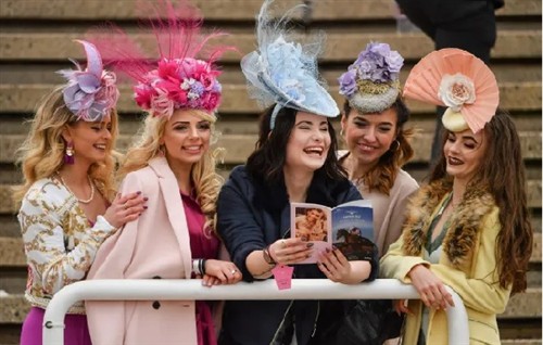 Cheltenham Festival Daytrip