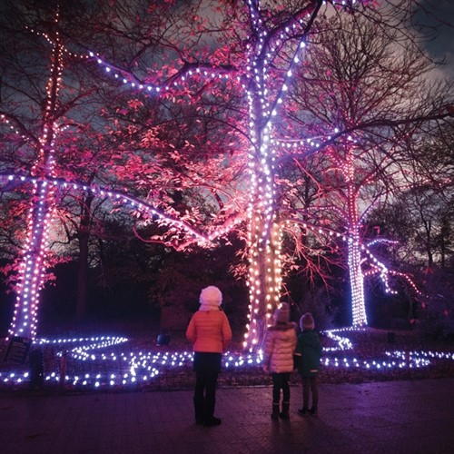 Christmas at Kew Gardens