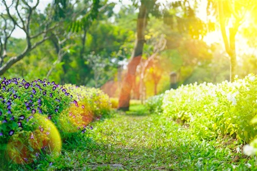 Shugborough Estate & Trentham Gardens
