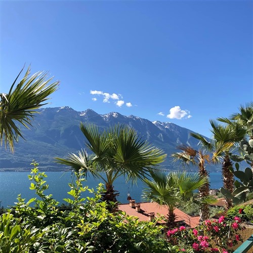 Splendours of Lake Garda