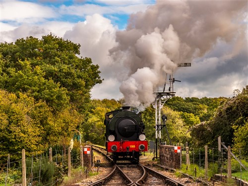 Isle of Wight & Steam Railway