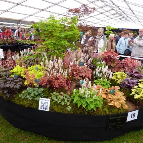 Malvern Autumn Flower Show