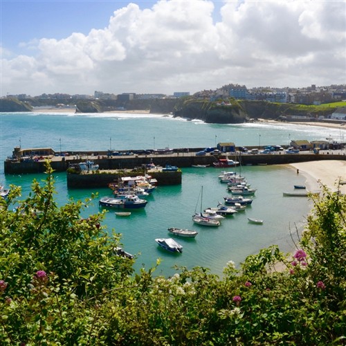 Four Star Newquay