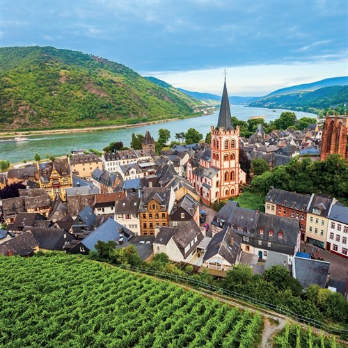 Rudesheim & Majestic Rhine Valley