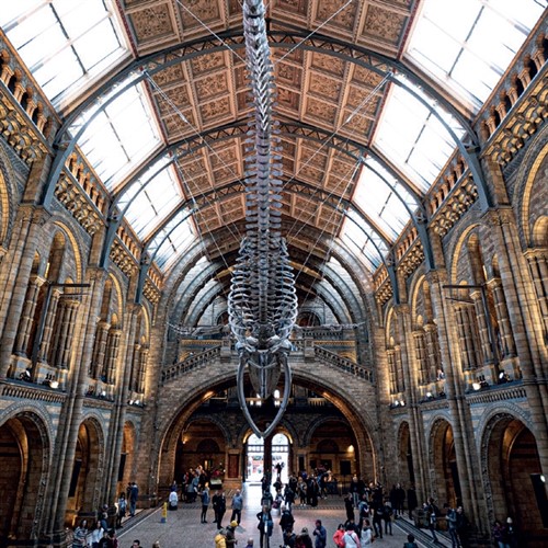 Science Museum & Natural History
