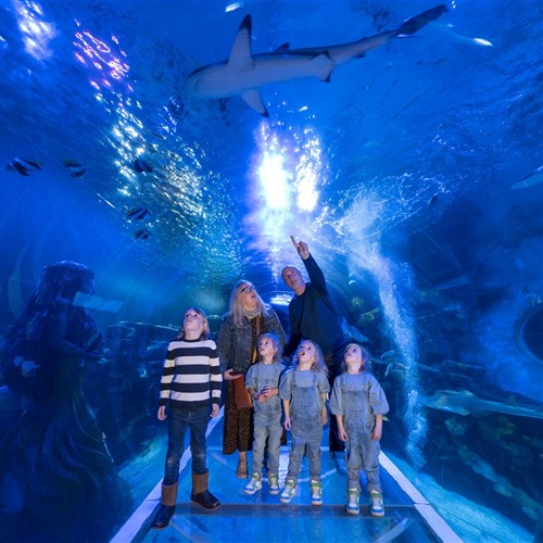 National Sealife Centre & Legoland Discovery