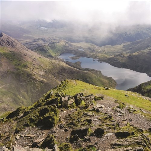 Snowdonia Free Bar - Royal Victoria