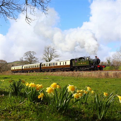 Devon & Somerset Steam & Cruise - 5 days