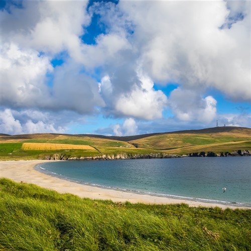 Shetland Discovery