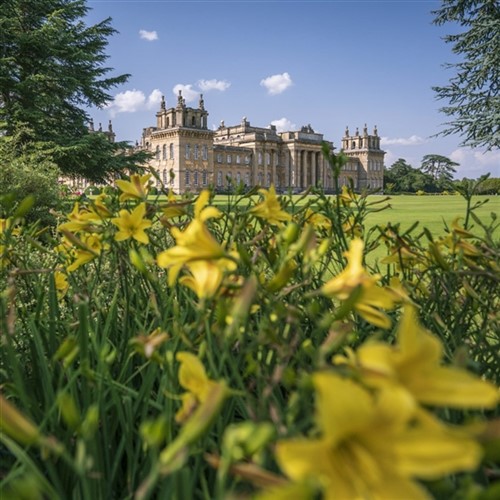 Blenheim Palace Flower Show