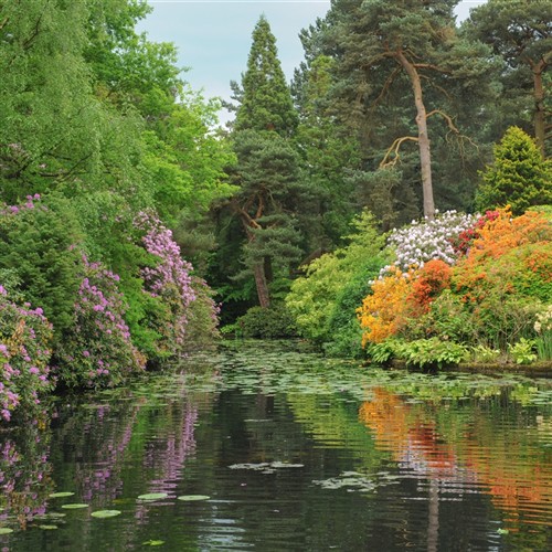 Tatton Park Flower Show and Trentham Gardens
