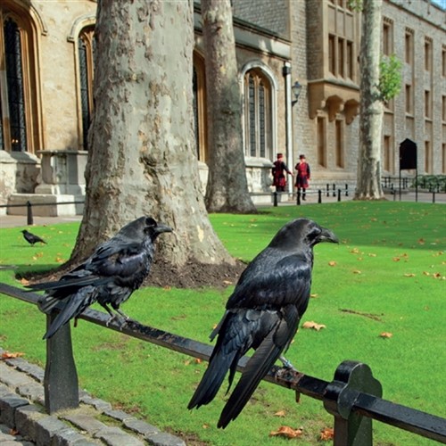 Tower of London