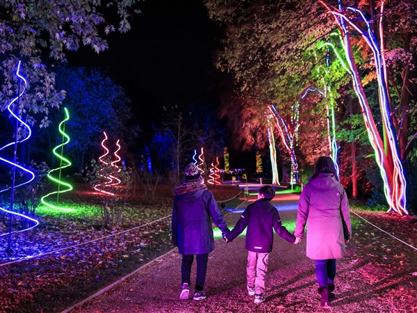 Blenheim Palace Light Trail