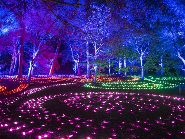 Blenheim Palace Light Trail